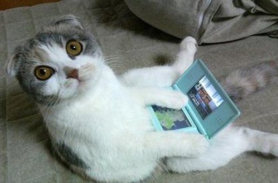 animals-playing-video-games