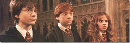 Harry Ron and Hermione